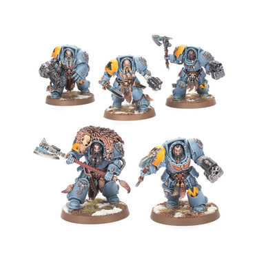 Space Wolfs: Wolf Guard Terminators