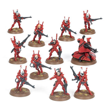 Aeldari: Guardians/Defenders