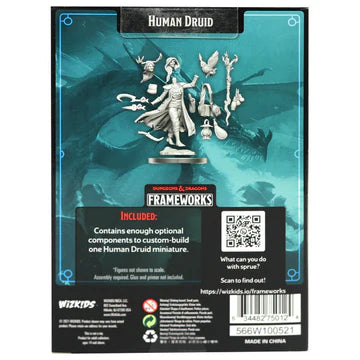 D&D Frameworks: Human Druid Female