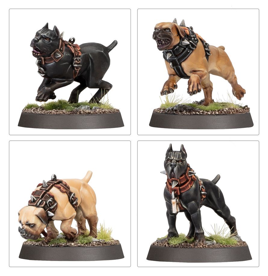 Regiments of Renown: Cities of Sigmar - Ven Denst's Hounds