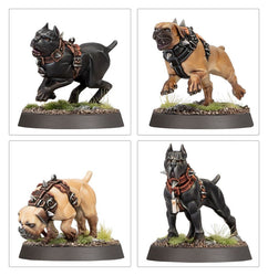 Regiments of Renown: Cities of Sigmar - Ven Denst's Hounds