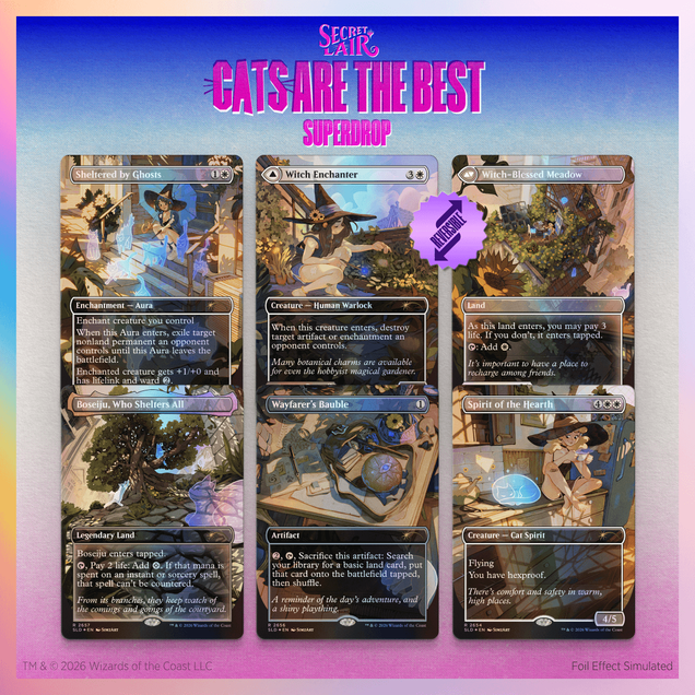 Secret Lair Drop: Witch's Familiar - Traditional Foil Edition - Secret Lair Drop Series (SLD)