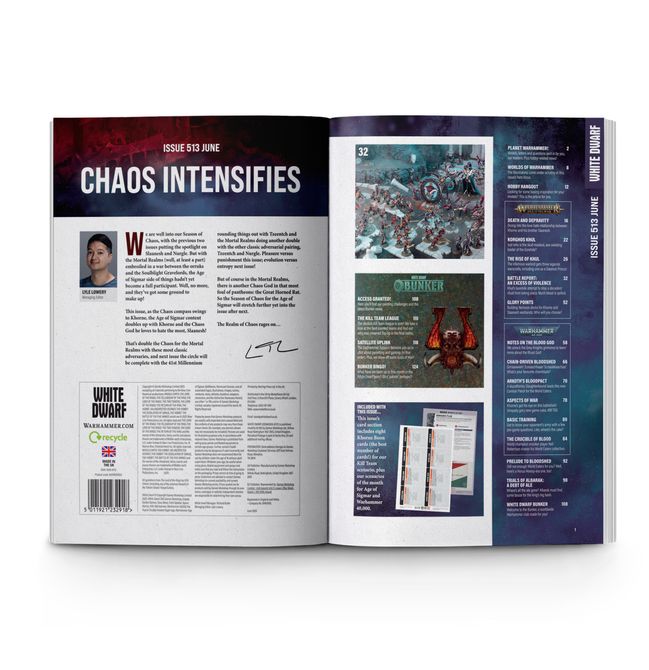 White Dwarf 513 (English)