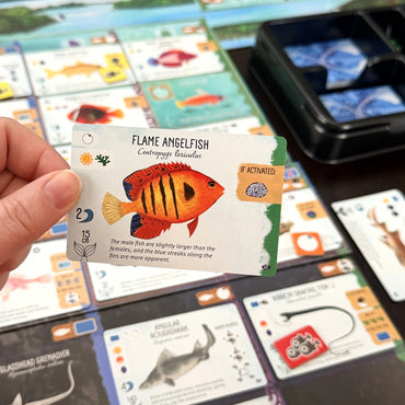 Finspan: Sharks & Reefs Expansion