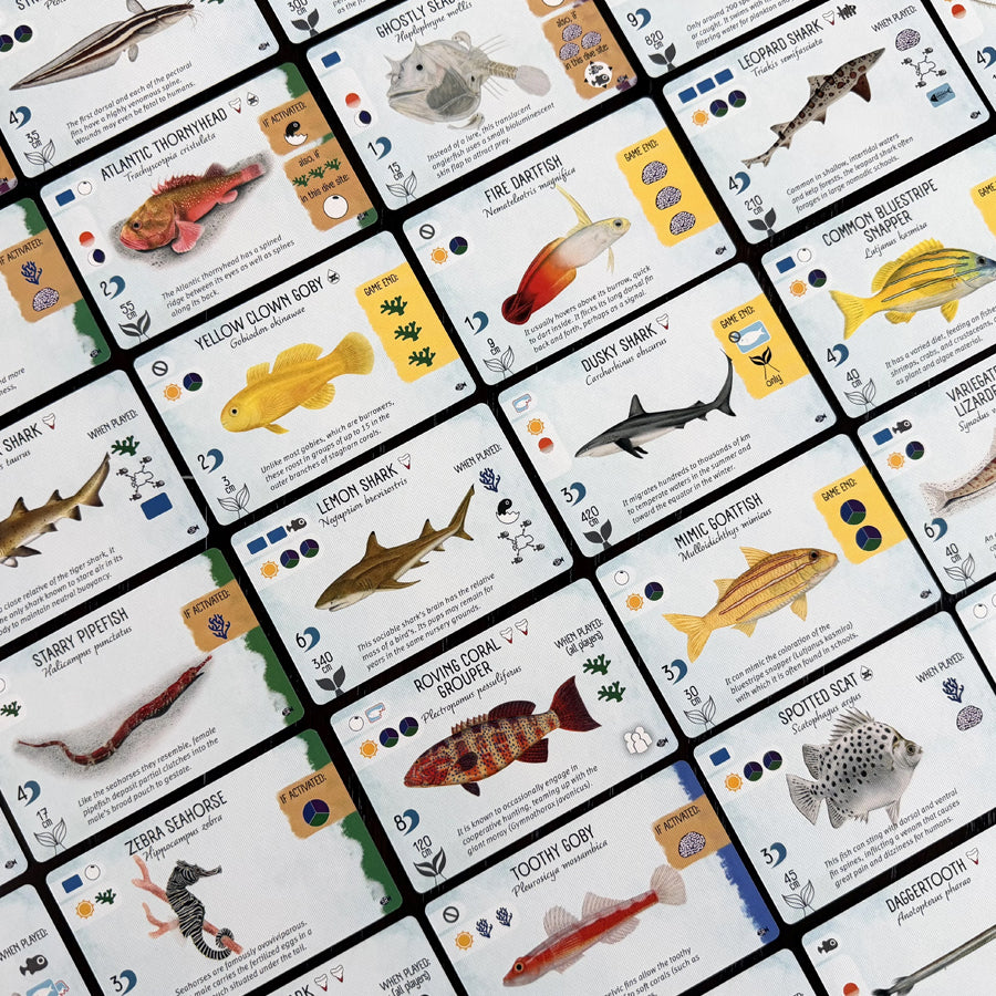 Finspan: Sharks & Reefs Expansion