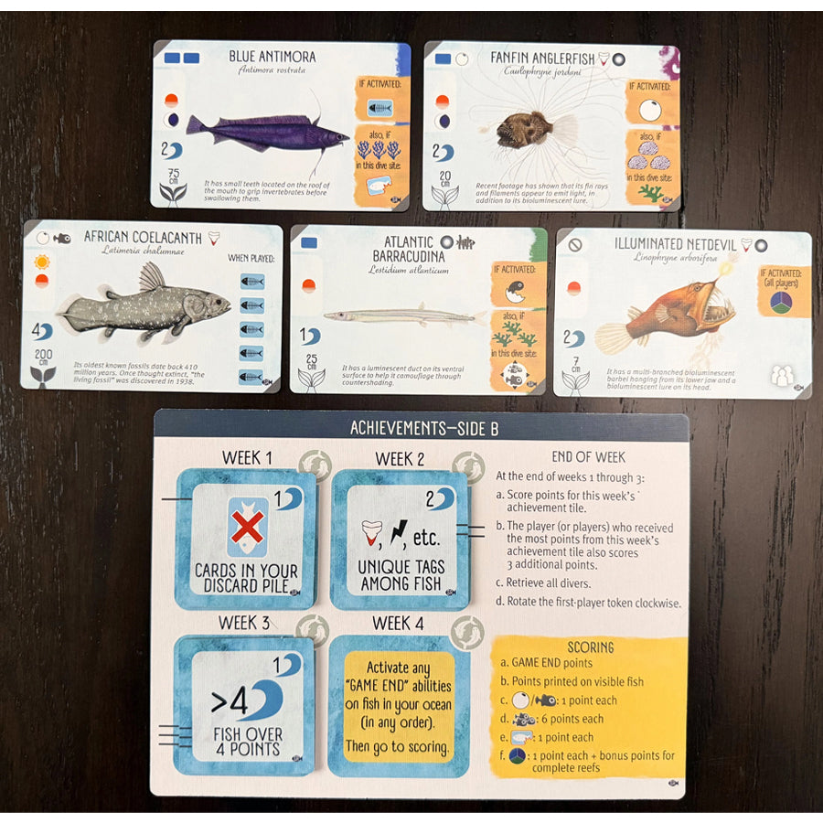 Finspan: Sharks & Reefs Expansion