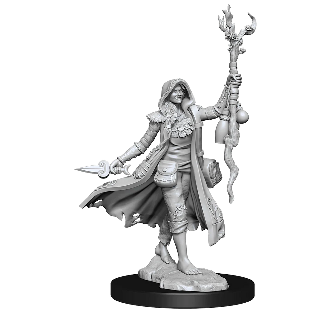 D&D Frameworks: Human Druid Female