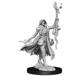 D&D Frameworks: Human Druid Female