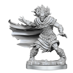 D&D Frameworks: Wight