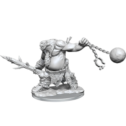 D&D Frameworks: Ogre